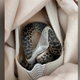 Imagen para el artículo titulado Descubre al llegar a casa que ha volado desde Australia con una pitón en uno de sus zapatos